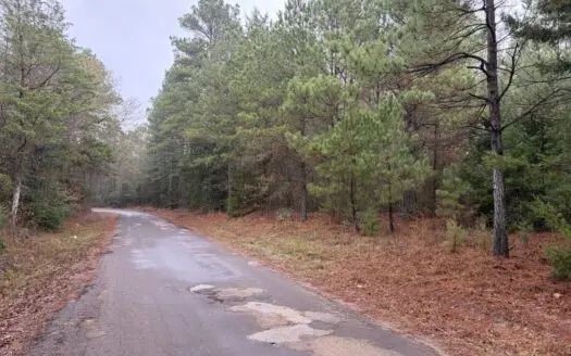 East Texas Hunting, Recreational and Timberland Property For Sale