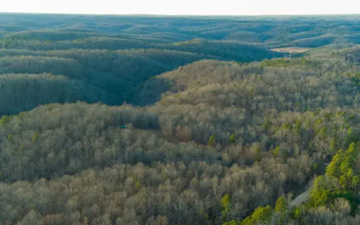 Vacant Land for Sale in Hartshorn, Missouri