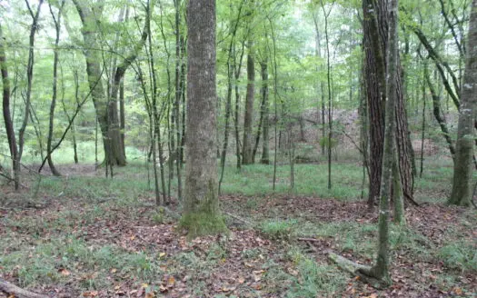 14.42 Acres Wooded & Surveyed Land in Lincoln County, Mississippi