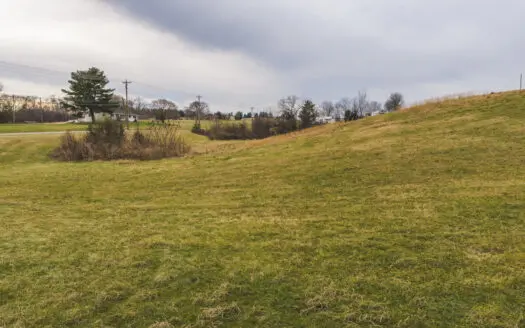 56.8 Acres of Prime Farmland in Whitesburg, Tennessee