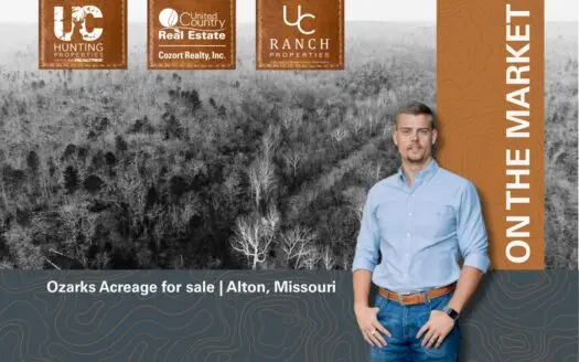 Wooded Acreage for sale in the Missouri Ozarks
