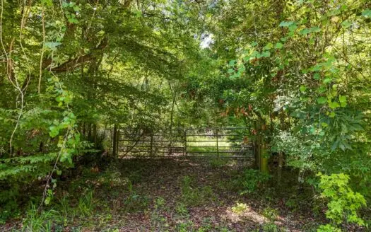 Vacant Land Near Suwannee River In Dixie County, Florida