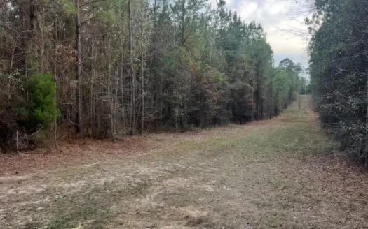 40 Acres For Sale in Choudrant, Louisiana