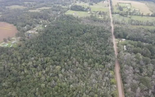 42 Acres for Sale with Old Country Home Scott Co MS