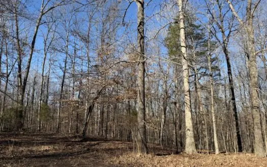 Land For Sale In Tn. Mature Hardwoods, Creek, 6.258 Acres+/-