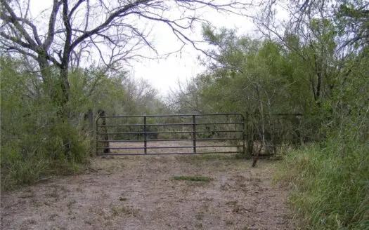 Great Get A Away acreage near the Big City