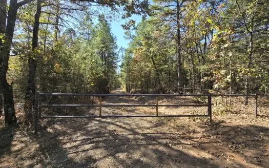 Poteau Mountain Recreational Property Adjoining National Forest