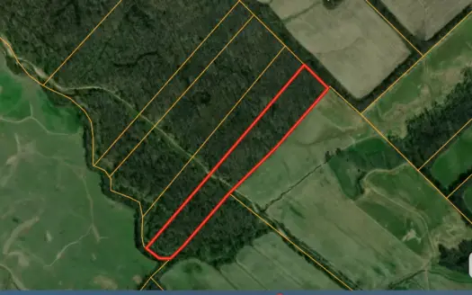 Land Auction  Ballard County, Kentucky Tract #3