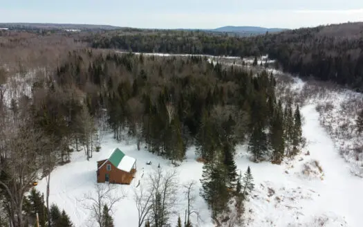 Off-Grid Feel, On-Grid Comfort | Brook-Front Cabin on 11 Acres
