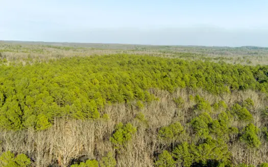 Land with Electric for Sale in Salem, Missouri