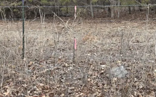 Land For Sale Walnut Grove Missouri