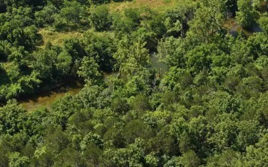 Section B- 40 Acres Parcel in Southern Missouri Ozarks
