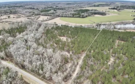 17ac Secluded Land – Hartford Alabama – Perfect homesite