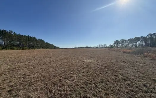 65± Acres – Haleburg Community, Henry County