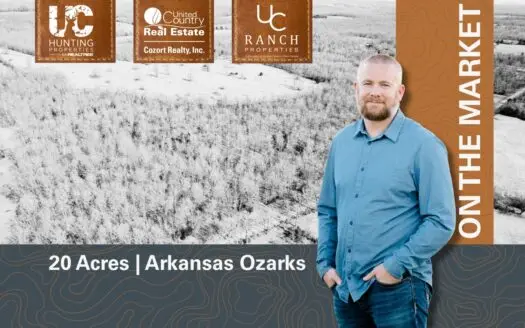 30 Acres in the Heart of the Arkansas Ozarks | Mammoth Spring