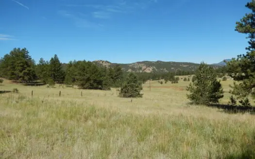 Colorado Mountain Land 41 Acres With Well National Forest Access