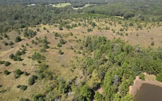 Hunting Land for Sale in Antlers, OK