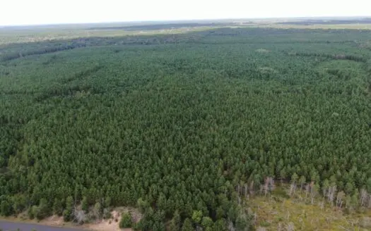 40-acre timber tract in Adams County