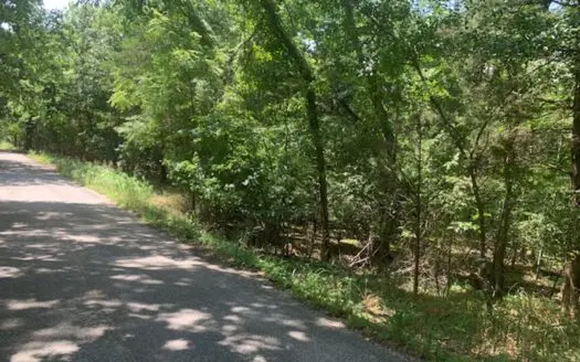 Acreage Overlooking Bull Shoals Lake