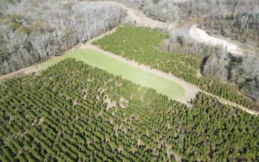 255 Acres East Baton Rouge Parish Near Zachary, LA