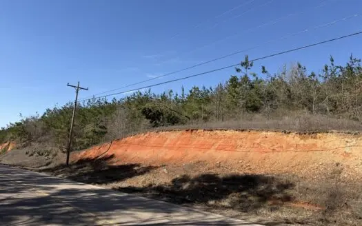 Land For Sale In Tn, 6.6 Acres+/- In Hardin County, Tn