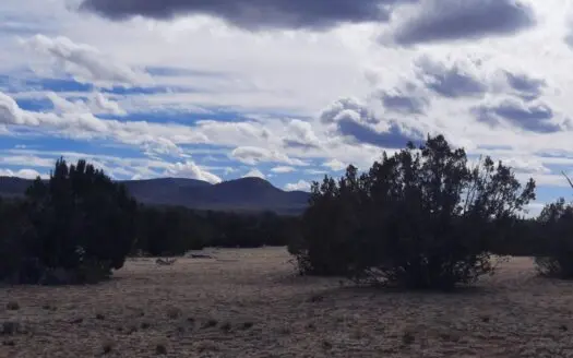 Remote Northern Az Off Grid Parcel