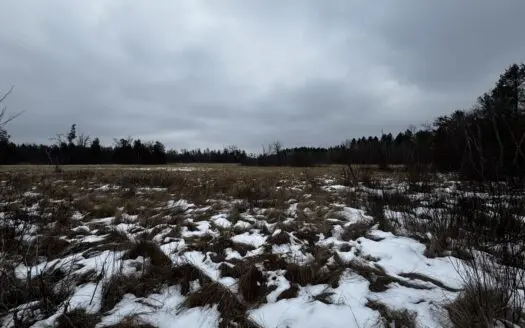 120± acre tract in the Town of Clearfield, Juneau County