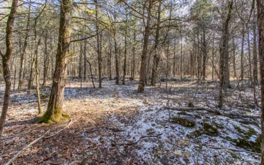 5 Acre of Prime Hunting  – Owner Financing!