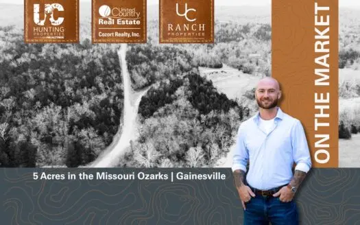 Acreage for sale Gainesville, Missouri | The Ozarks