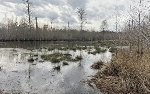 Turnkey Hunting + Investment Property w/ Beaver Swamp