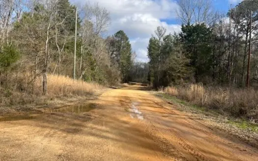 40 Acres For Sale Copiah County Crystal Springs Mississippi