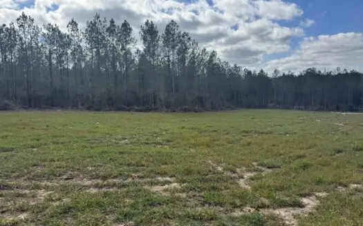 220 Acres South MS Hunting Tract with Camp/Homesite