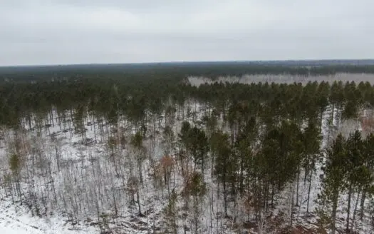 80± acre parcel in the Town of Necedah, Juneau County