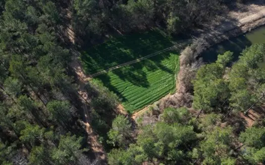 20± Acres in Hazelehurst, MS Near Homochitto NF