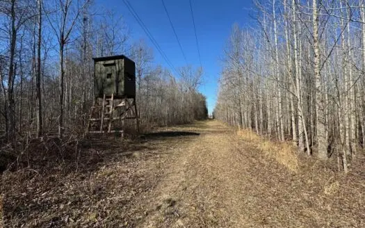 Tensas Riverfront Hunting Land Concordia Parish, LA