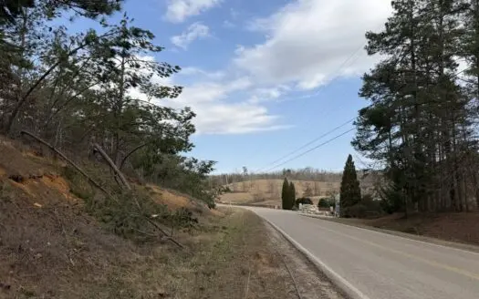 Land For Sale In Tn, 4 Acres+/- In Savannah, Tn