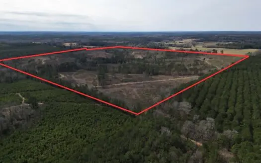 Secluded Atlanta, TX Wooded Acreage with Private Pond and Creek