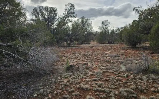 Own a piece of Bridge Canyon Country Estates