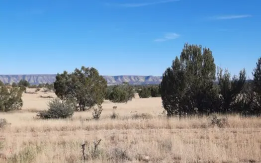 Off grid Northern AZ land with Fantastic Views