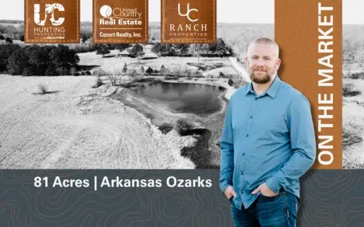 81 Acres in the Arkansas Ozarks | Mammoth Spring