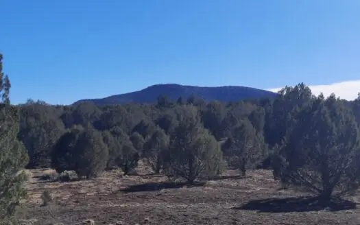 Unique Northern AZ off Grid property