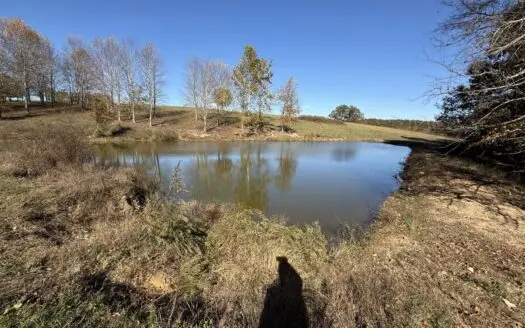 23.5 Acres of pasture land in Summertown TN