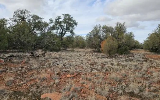 Own a piece of Bridge Canyon Country Estates