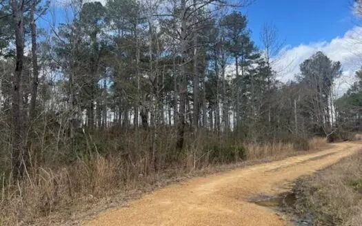 40 Acres For Sale Copiah County Crystal Springs Mississippi