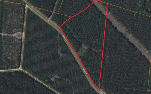 21 Acres Timberland & Hunting Near New Bern, NC