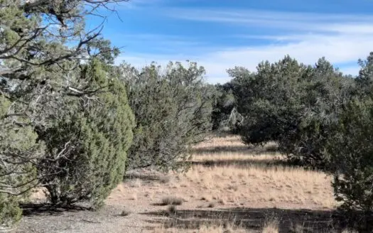 Awesome views from this nicely secluded off grid property