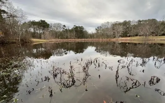 18 Acre Homesite in Laurel, MS Jones County