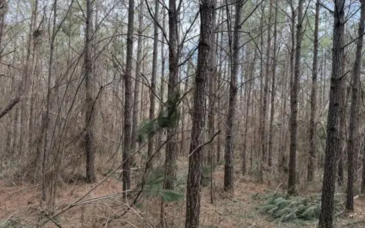 Land For Sale In Tn, 4 Acres+/- In Hardin County, Tn