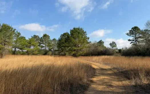 37+- Acres Sandy Hook MS for Sale