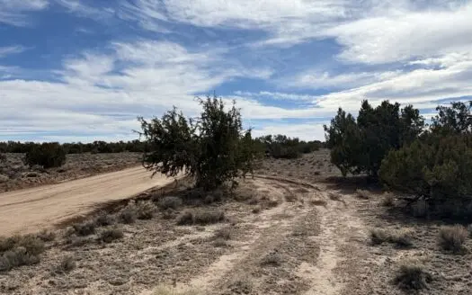 Northern Arizona Land For Sale Near St. Johns